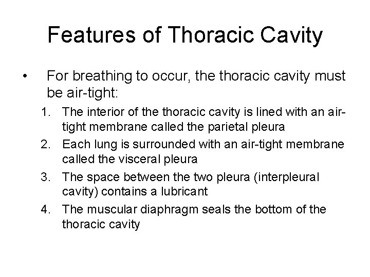 Features of Thoracic Cavity • For breathing to occur, the thoracic cavity must be Features of Thoracic Cavity • For breathing to occur, the thoracic cavity must be