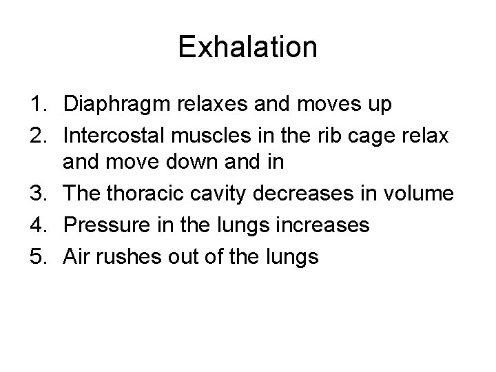 Exhalation 1. Diaphragm relaxes and moves up 2. Intercostal muscles in the rib cage Exhalation 1. Diaphragm relaxes and moves up 2. Intercostal muscles in the rib cage