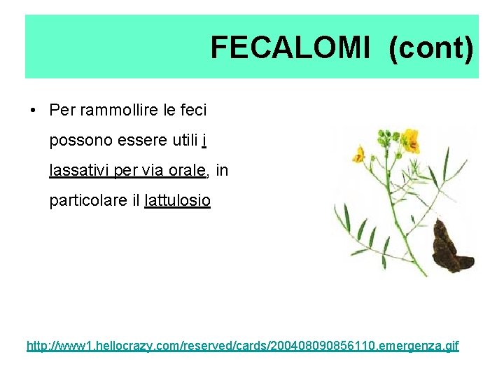 FECALOMI (cont) • Per rammollire le feci possono essere utili i lassativi per via FECALOMI (cont) • Per rammollire le feci possono essere utili i lassativi per via