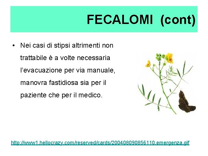 FECALOMI (cont) • Nei casi di stipsi altrimenti non trattabile è a volte necessaria FECALOMI (cont) • Nei casi di stipsi altrimenti non trattabile è a volte necessaria