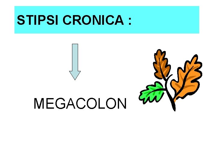 STIPSI CRONICA : MEGACOLON STIPSI CRONICA : MEGACOLON