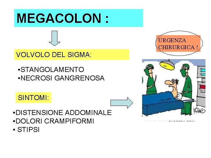 MEGACOLON : URGENZA CHIRURGICA ! VOLVOLO DEL SIGMA: • STANGOLAMENTO • NECROSI GANGRENOSA SINTOMI: MEGACOLON : URGENZA CHIRURGICA ! VOLVOLO DEL SIGMA: • STANGOLAMENTO • NECROSI GANGRENOSA SINTOMI: