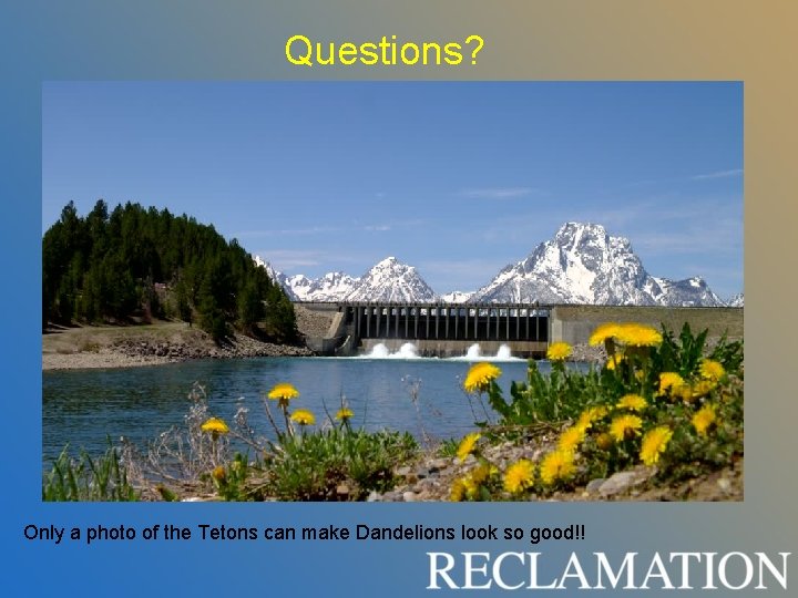 Questions? Only a photo of the Tetons can make Dandelions look so good!! Questions? Only a photo of the Tetons can make Dandelions look so good!!