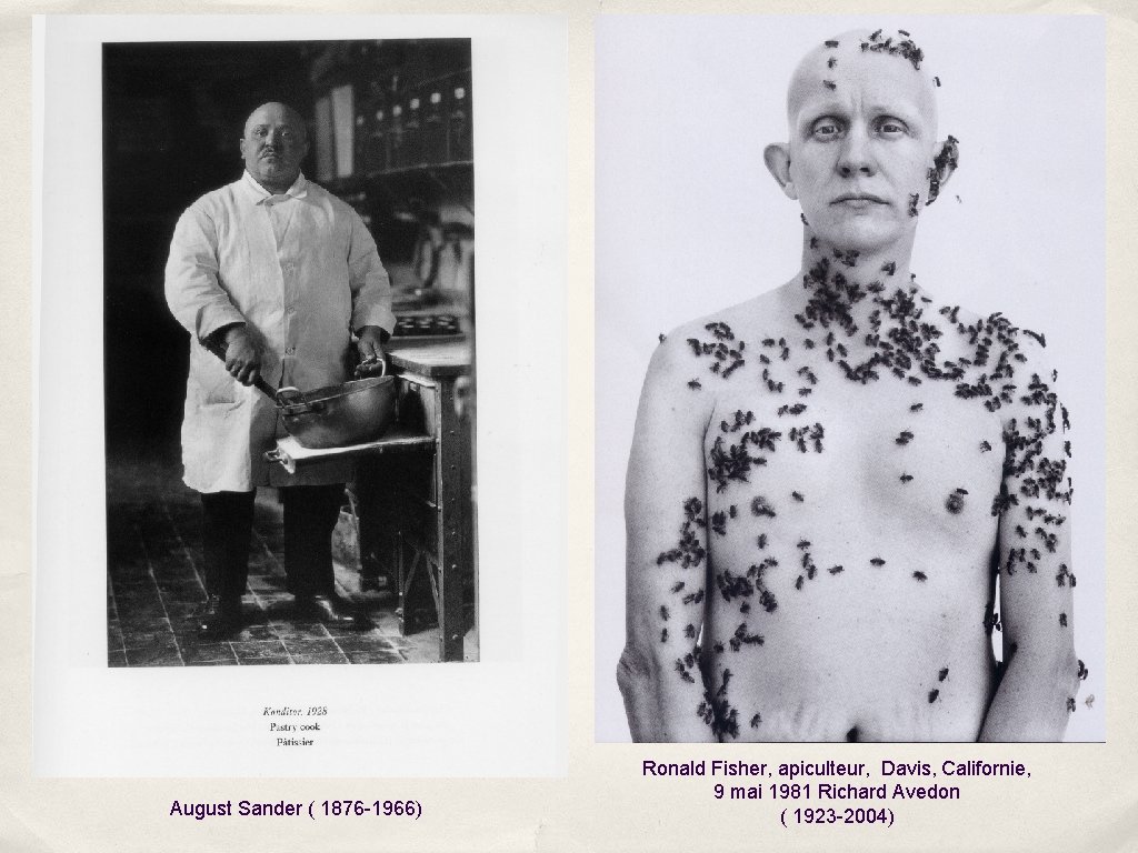 August Sander ( 1876 -1966) Ronald Fisher, apiculteur, Davis, Californie, 9 mai 1981 Richard