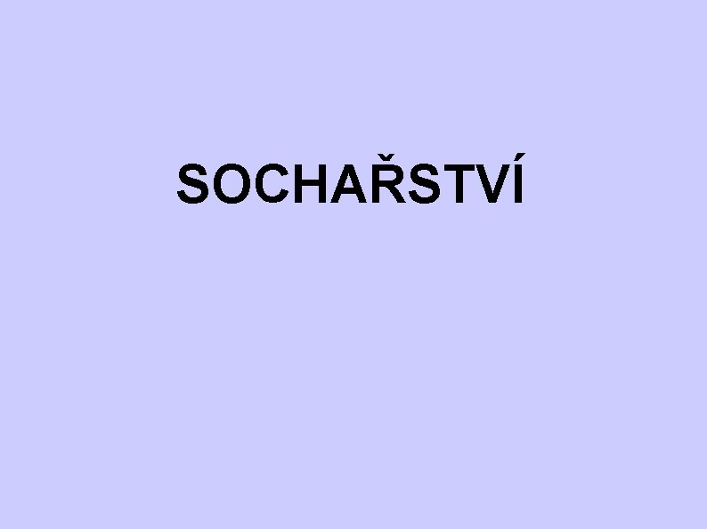 SOCHAŘSTVÍ SOCHAŘSTVÍ