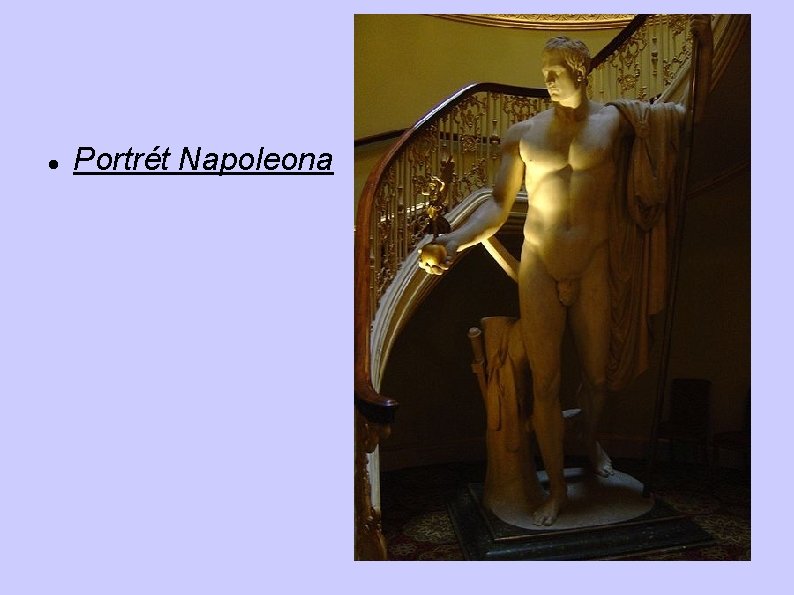 Portrét Napoleona Portrét Napoleona