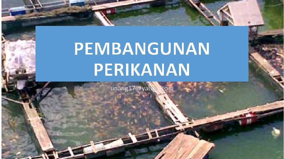 PEMBANGUNAN PERIKANAN unang 17@yahoo. com 