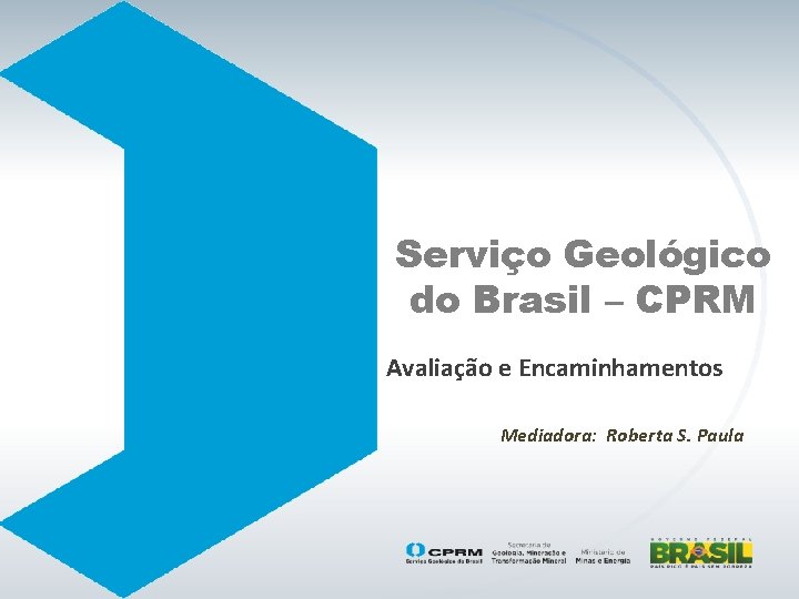 Serviço Geológico do Brasil – CPRM Avaliação e Encaminhamentos Mediadora: Roberta S. Paula 