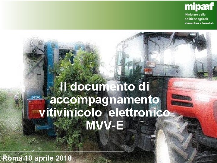 Il documento di accompagnamento vitivinicolo elettronico MVV-E Roma 10 aprile 2018 