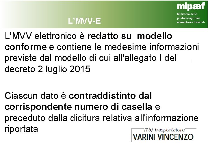 L’MVV-E L’MVV elettronico è redatto su modello conforme e contiene le medesime informazioni previste