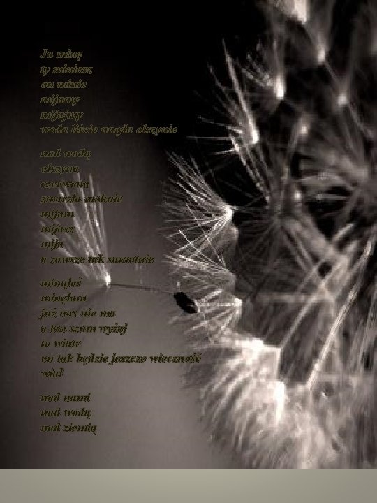 Ja minę ty miniesz on minie mijamy mijajmy woda liście umyła olszynie nad wodą