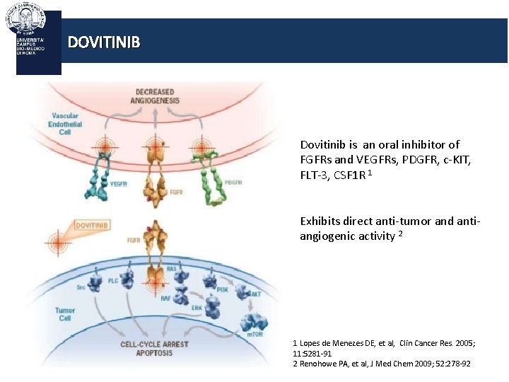 DOVITINIB Dovitinib is an oral inhibitor of FGFRs and VEGFRs, PDGFR, c-KIT, FLT-3, CSF