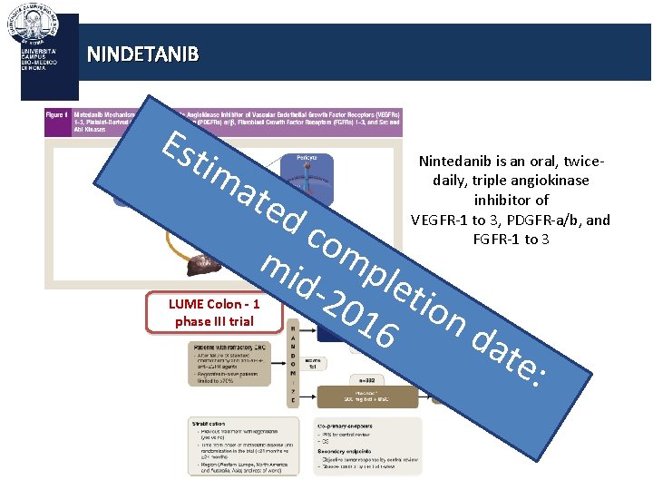 NINDETANIB Est im a Nintedanib is an oral, twicedaily, triple angiokinase inhibitor of VEGFR-1