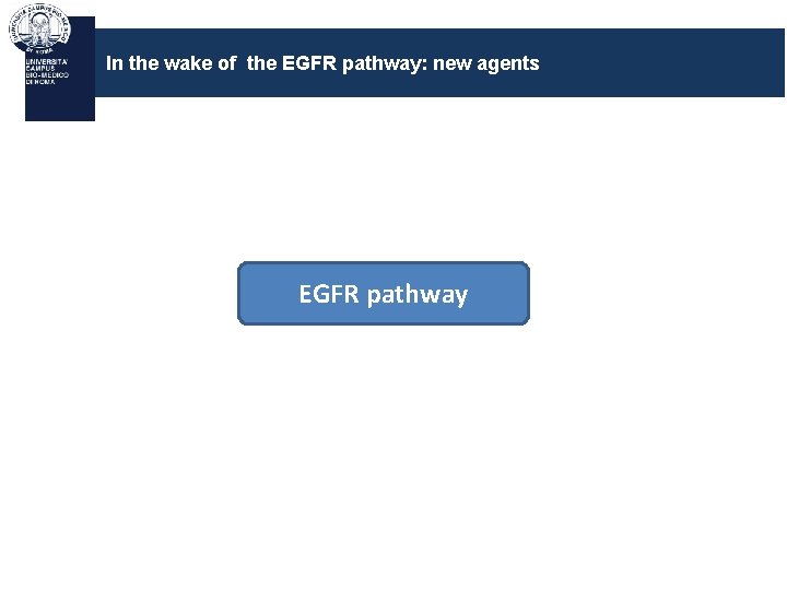 In the wake of the EGFR pathway: new agents EGFR pathway 