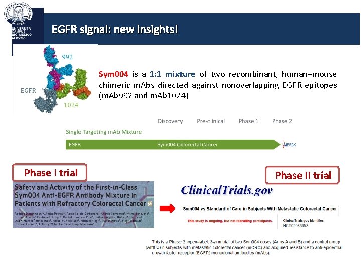 EGFR signal: new insights! Sym 004 is a 1: 1 mixture of two recombinant,