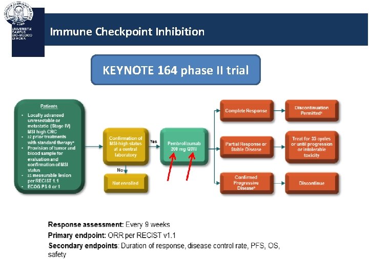 Immune Checkpoint Inhibition KEYNOTE 164 phase II trial 