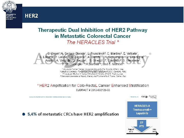 HER 2 5, 4% of metastatic CRCs have HER 2 amplification 