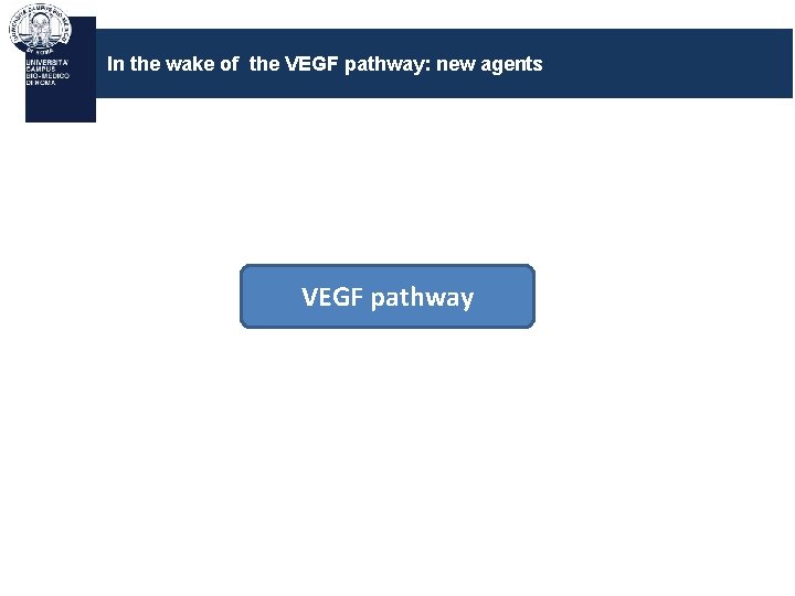 In the wake of the VEGF pathway: new agents VEGF pathway 