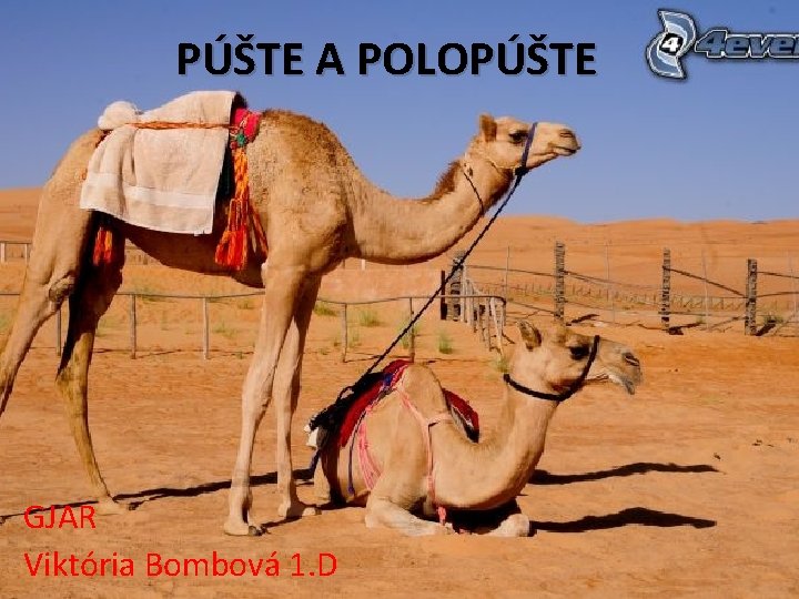 PÚŠTE A POLOPÚŠTE GJAR Viktória Bombová 1. D 