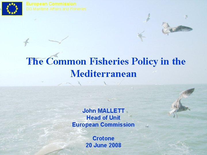 European Commission DG Maritime Affairs and Fisheries The Common Fisheries Policy in the Mediterranean