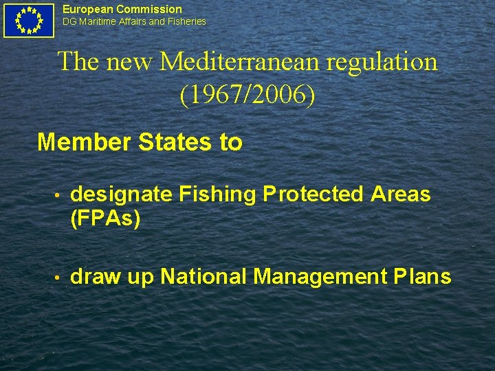 European Commission DG Maritime Affairs and Fisheries The new Mediterranean regulation (1967/2006) Member States