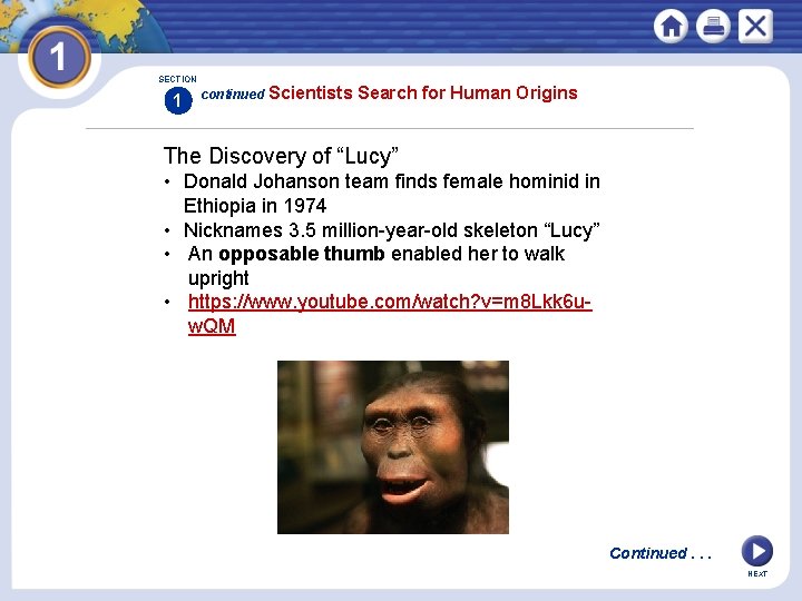 SECTION 1 continued Scientists Search for Human Origins The Discovery of “Lucy” • Donald