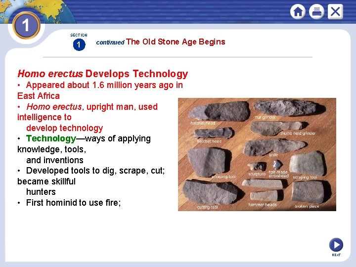 SECTION 1 continued The Old Stone Age Begins Homo erectus Develops Technology • Appeared