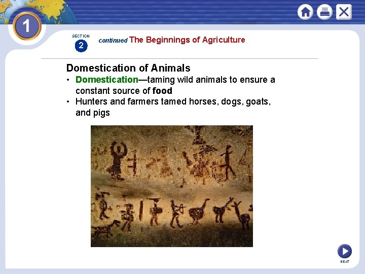 SECTION 2 continued The Beginnings of Agriculture Domestication of Animals • Domestication—taming wild animals