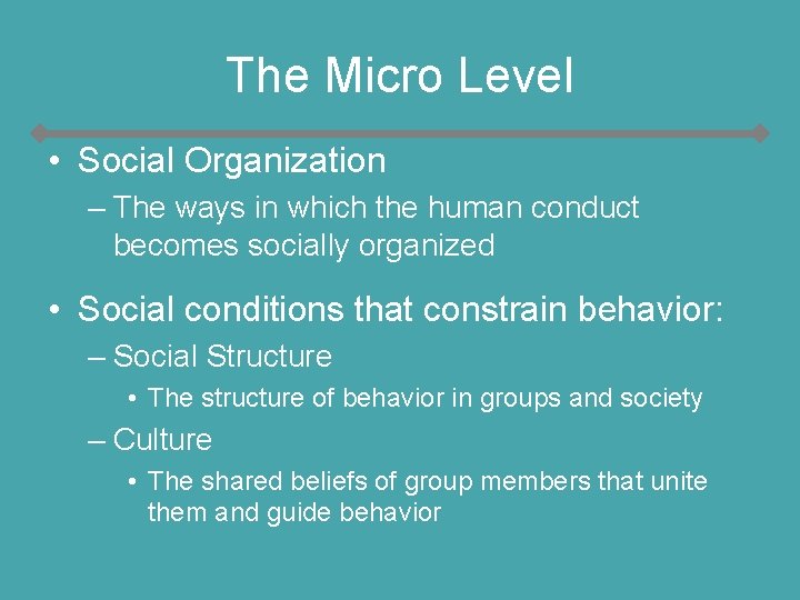 The Micro Level • Social Organization – The ways in which the human conduct The Micro Level • Social Organization – The ways in which the human conduct