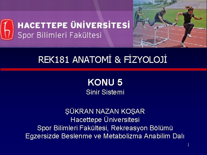 REK 181 ANATOMİ & FİZYOLOJİ KONU 5 Sinir Sistemi ŞÜKRAN NAZAN KOŞAR Hacettepe Üniversitesi