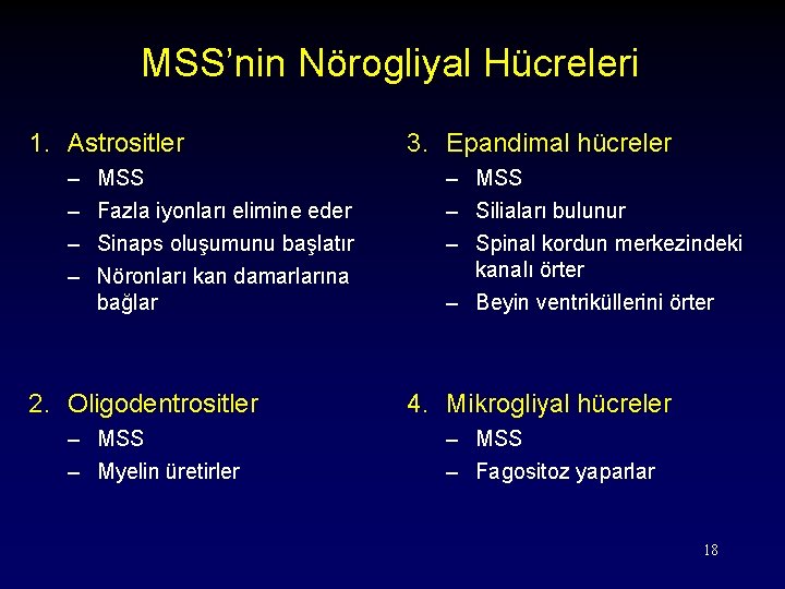 MSS’nin Nörogliyal Hücreleri 1. Astrositler – – MSS Fazla iyonları elimine eder Sinaps oluşumunu