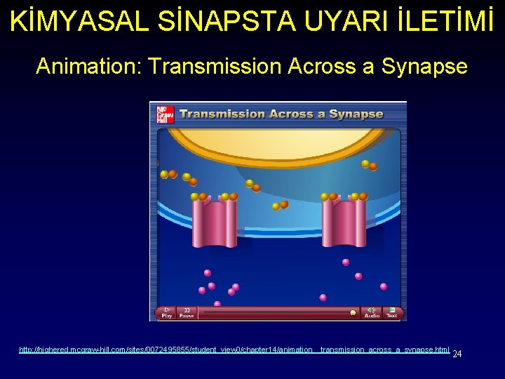 KİMYASAL SİNAPSTA UYARI İLETİMİ Animation: Transmission Across a Synapse http: //highered. mcgraw-hill. com/sites/0072495855/student_view 0/chapter