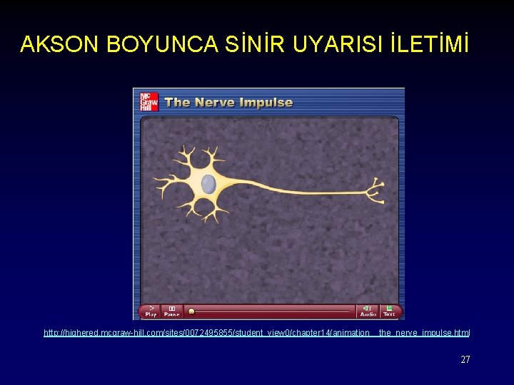 AKSON BOYUNCA SİNİR UYARISI İLETİMİ http: //highered. mcgraw-hill. com/sites/0072495855/student_view 0/chapter 14/animation__the_nerve_impulse. html 27 