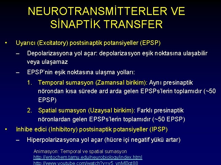 NEUROTRANSMİTTERLER VE SİNAPTİK TRANSFER • Uyarıcı (Excitatory) postsinaptik potansiyeller (EPSP) – Depolarizasyona yol açar: