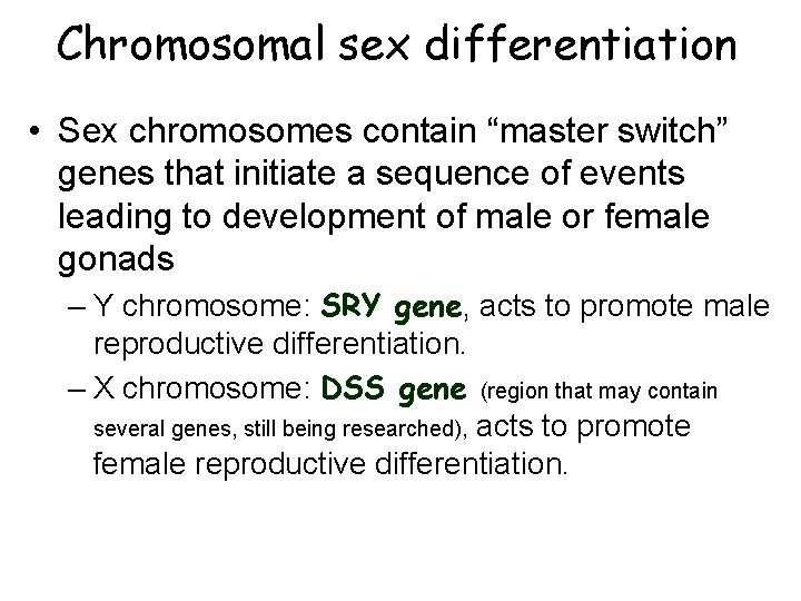 Chromosomal sex differentiation • Sex chromosomes contain “master switch” genes that initiate a sequence