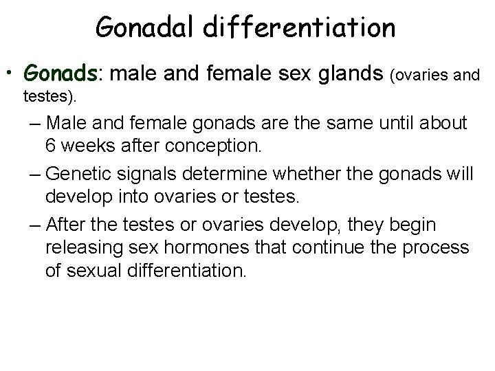 Gonadal differentiation • Gonads: male and female sex glands (ovaries and testes). – Male