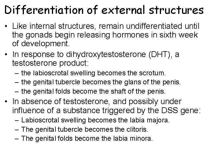 Differentiation of external structures • Like internal structures, remain undifferentiated until the gonads begin