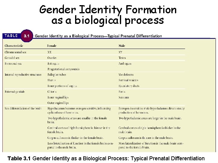 Gender Identity Formation as a biological process Table 3. 1 Gender Identity as a
