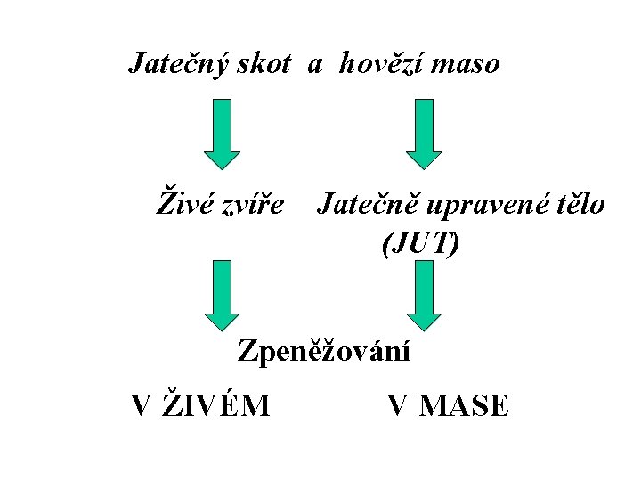 Jatečný skot a hovězí maso Živé zvíře Jatečně upravené tělo (JUT) Zpeněžování V ŽIVÉM