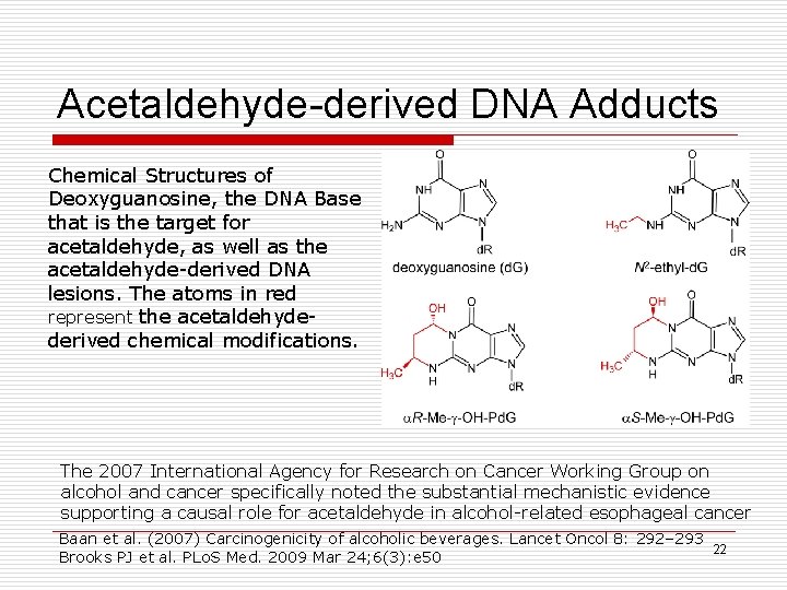 Acetaldehyde-derived DNA Adducts Chemical Structures of Deoxyguanosine, the DNA Base that is the target