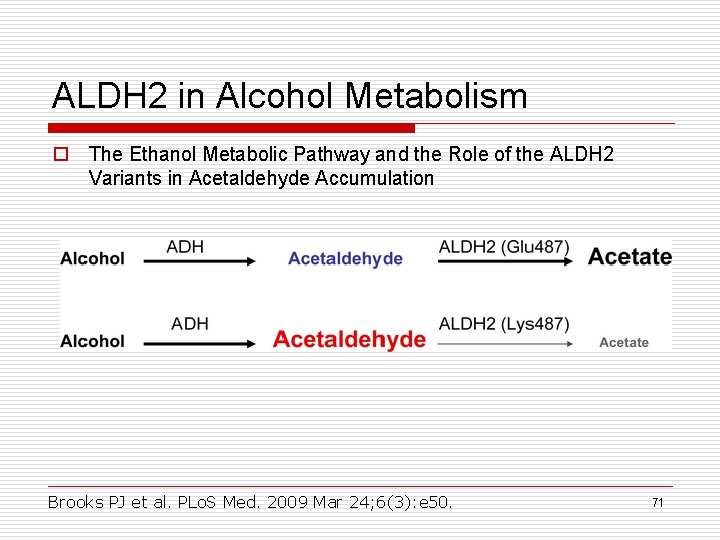 ALDH 2 in Alcohol Metabolism o The Ethanol Metabolic Pathway and the Role of