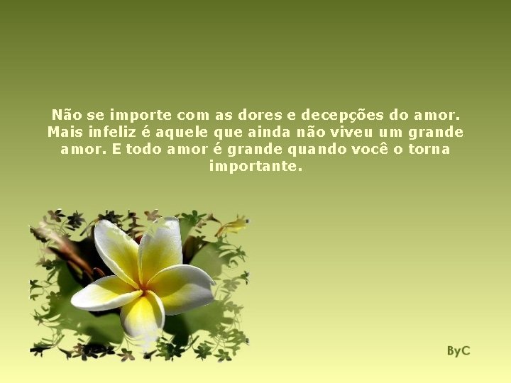 Não se importe com as dores e decepções do amor. Mais infeliz é aquele