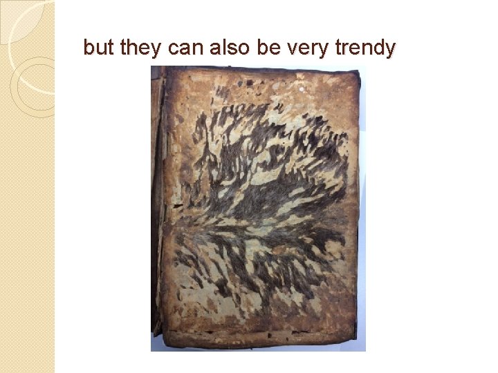 but they can also be very trendy but they can also be very trendy