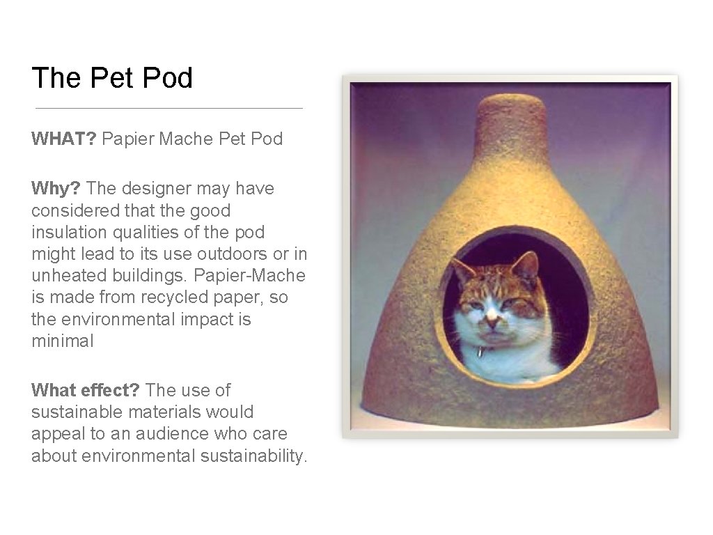 The Pet Pod WHAT? Papier Mache Pet Pod Why? The designer may have considered