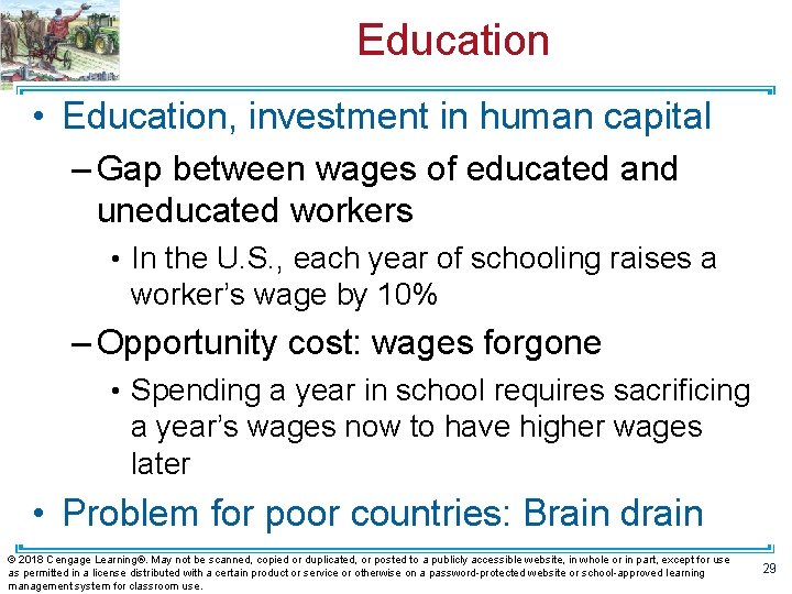 Education • Education, investment in human capital – Gap between wages of educated and