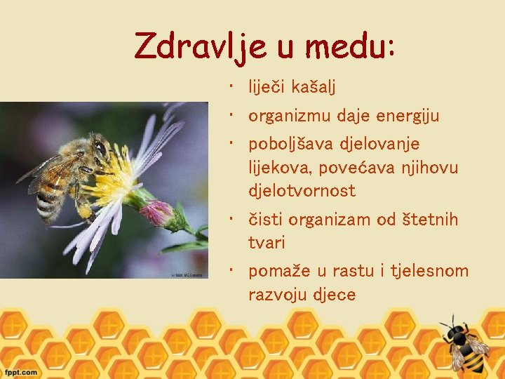 Zdravlje u medu: • liječi kašalj • organizmu daje energiju • poboljšava djelovanje lijekova,
