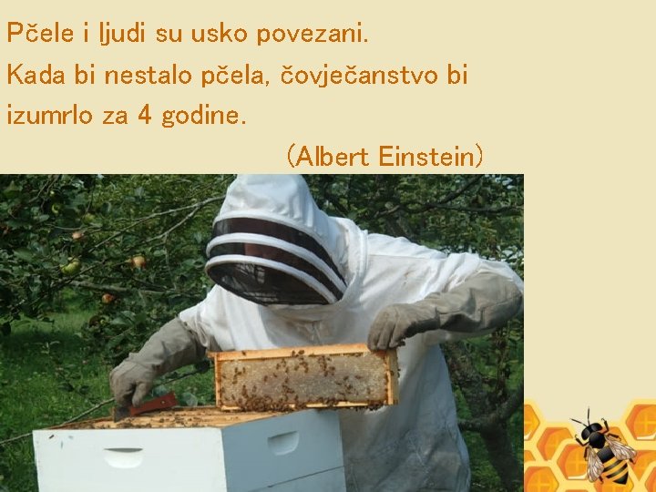 Pčele i ljudi su usko povezani. Kada bi nestalo pčela, čovječanstvo bi izumrlo za