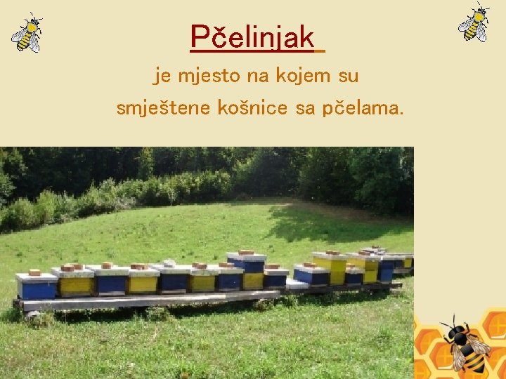 Pčelinjak je mjesto na kojem su smještene košnice sa pčelama. 