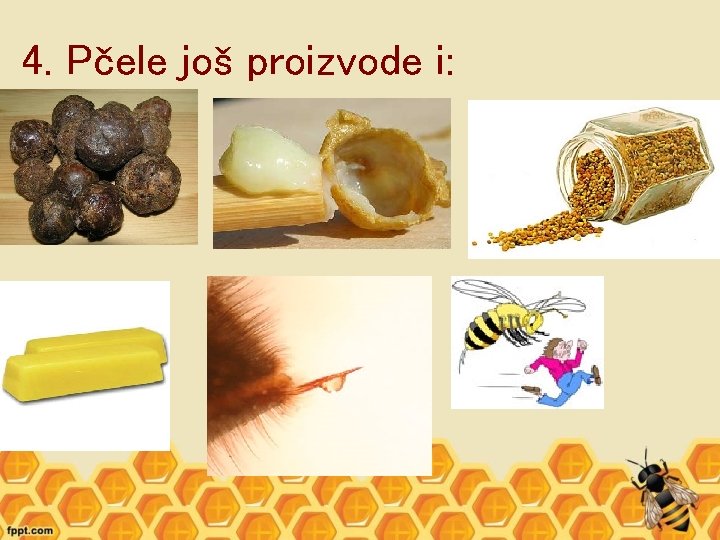 4. Pčele još proizvode i: 