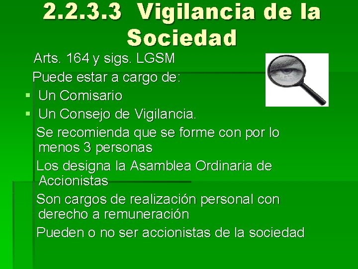 2. 2. 3. 3 Vigilancia de la Sociedad Arts. 164 y sigs. LGSM Puede